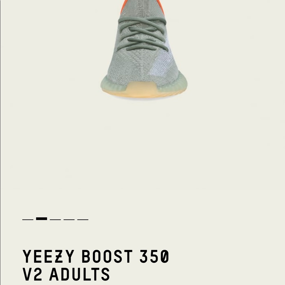 Brand new YEEZY DESERT SAGE size 10 1/2 new/tags - Picture 2 of 4